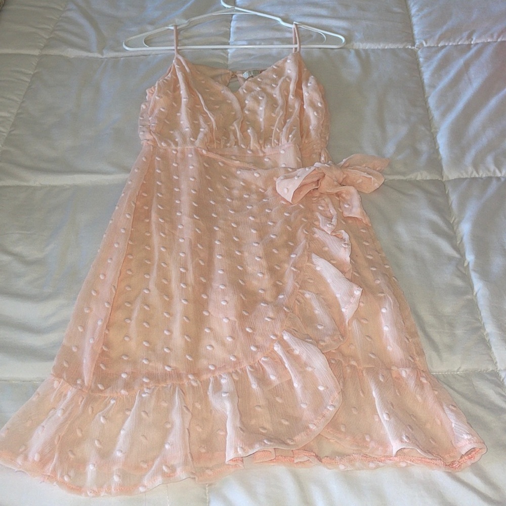 Gianni Bini Blush Swiss Dress